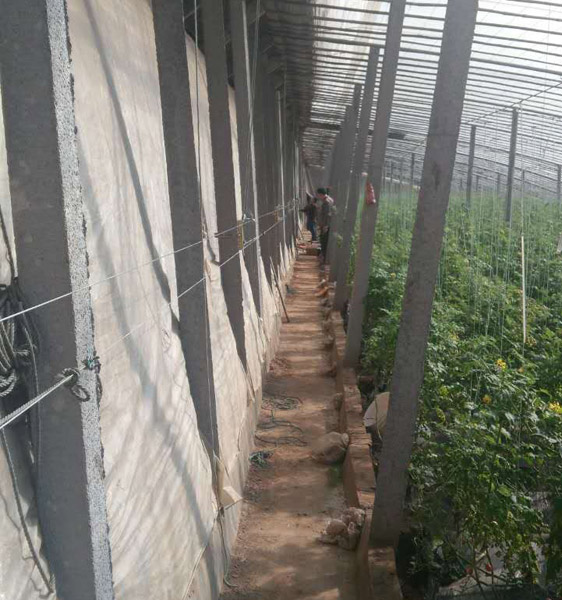 大棚智能放风机