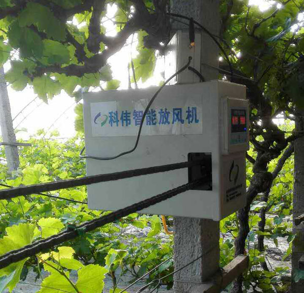 大棚智能放风机