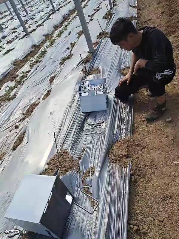 大棚自动放风机