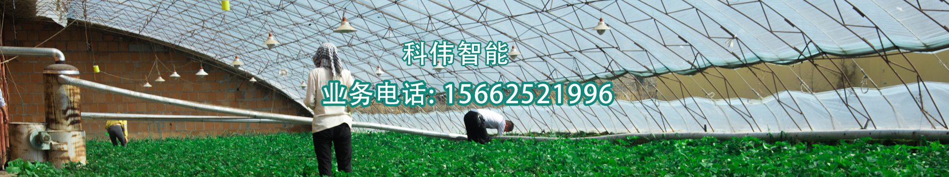 打包箱房